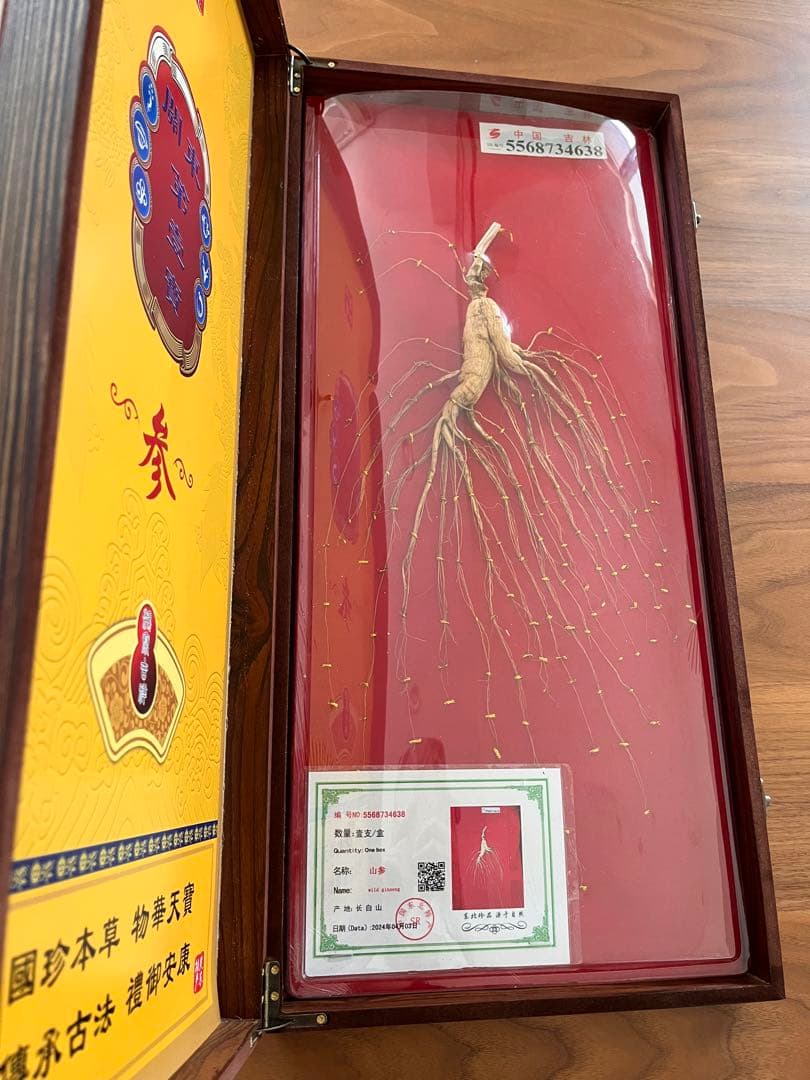 高級 高麗人参 東北山参 朝鮮人参 希少 鑑定書 木箱付 お土産 豪華 素敵