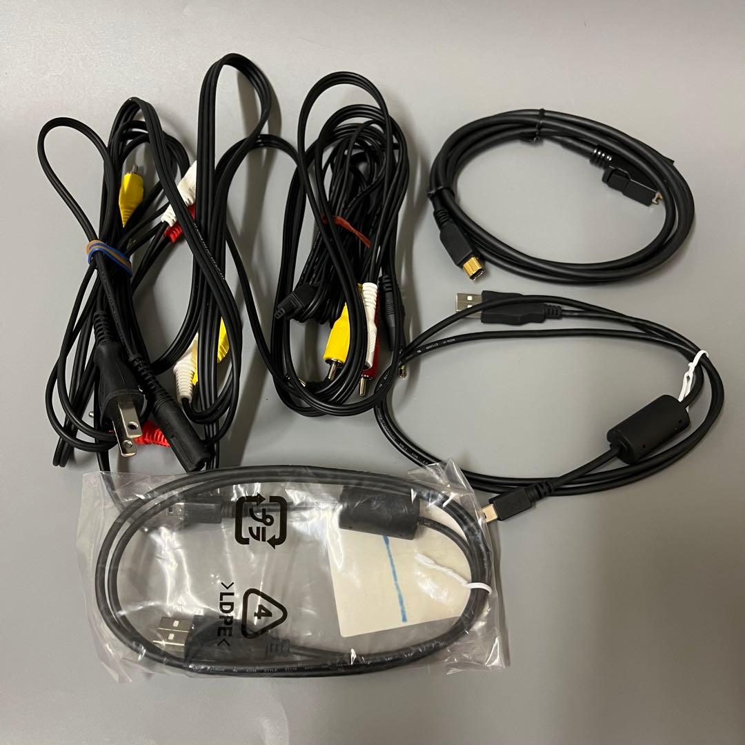 Panasonic パナソニック ビデオカメラ HDC-HS300