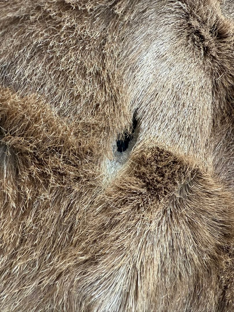 日本鹿 ラグマット 毛皮 敷物 ブランケット 蝦夷鹿 ブッシュクラフト キャンプ