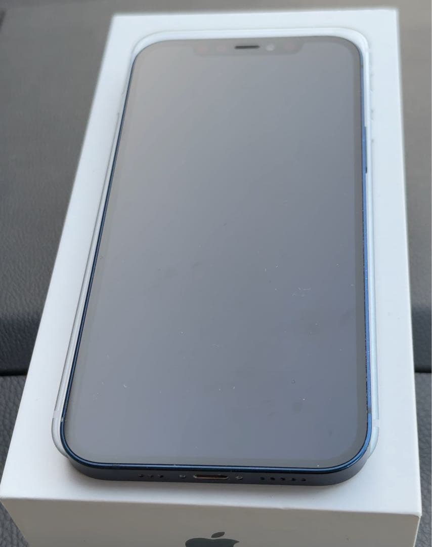 Apple iPhone 12 64G ブルーと新品Apple純正イヤホン