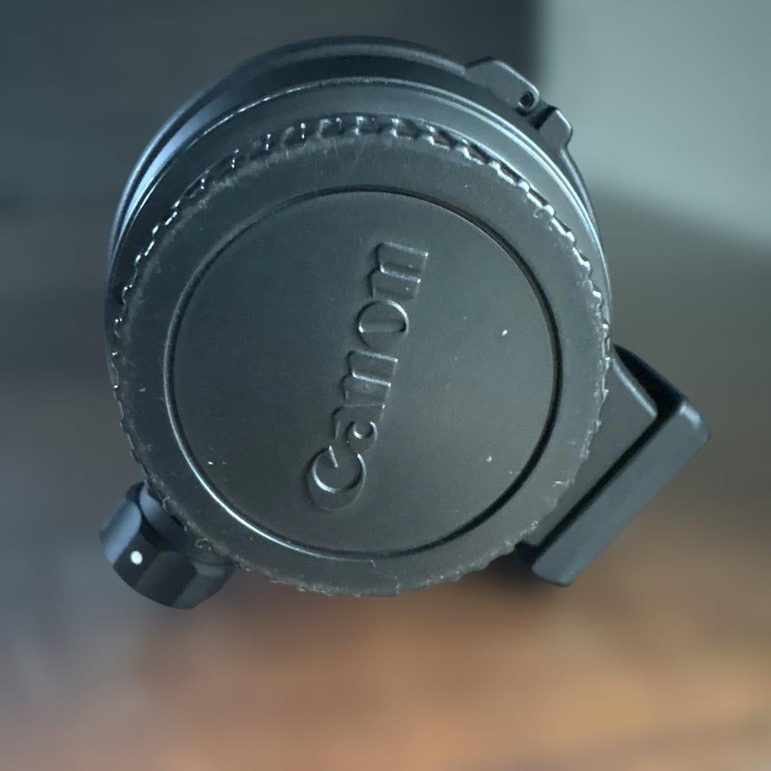 SIGMA 300mm F4 レンズ(単焦点)