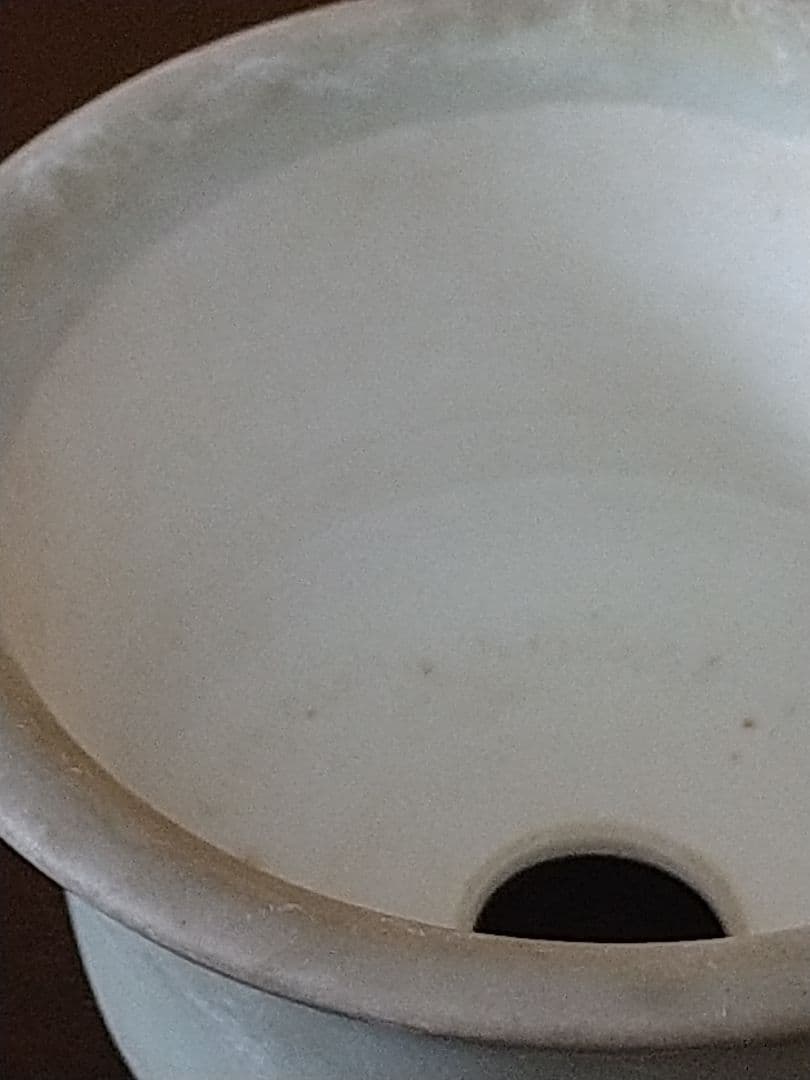 盆栽鉢　盆栽小鉢　落款屯洋 外縁青磁丸鉢