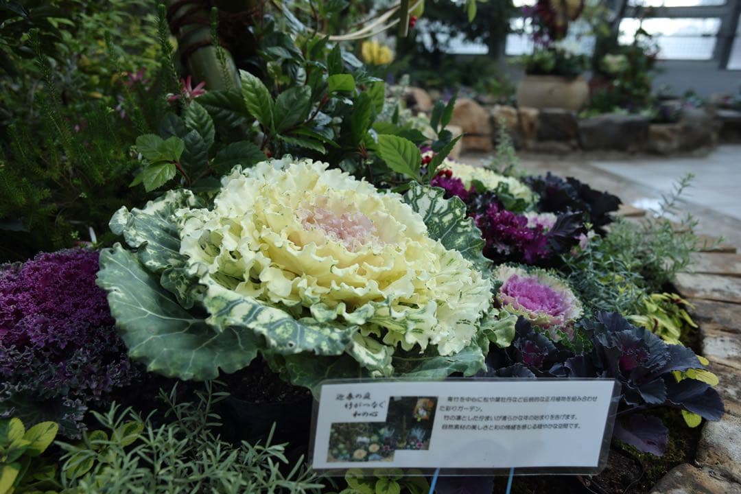 キヤノン Canon EF24mm F2.8