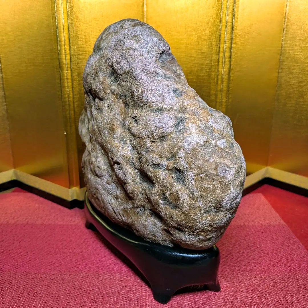 白山菊紋石 7㌔ 希少川ずれ 鑑賞石 観賞石 水石 盆石 天然石 置物 菊花石