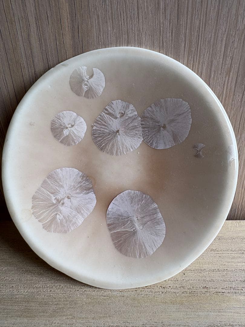 京都 陶器 結晶釉 プレート ピンク