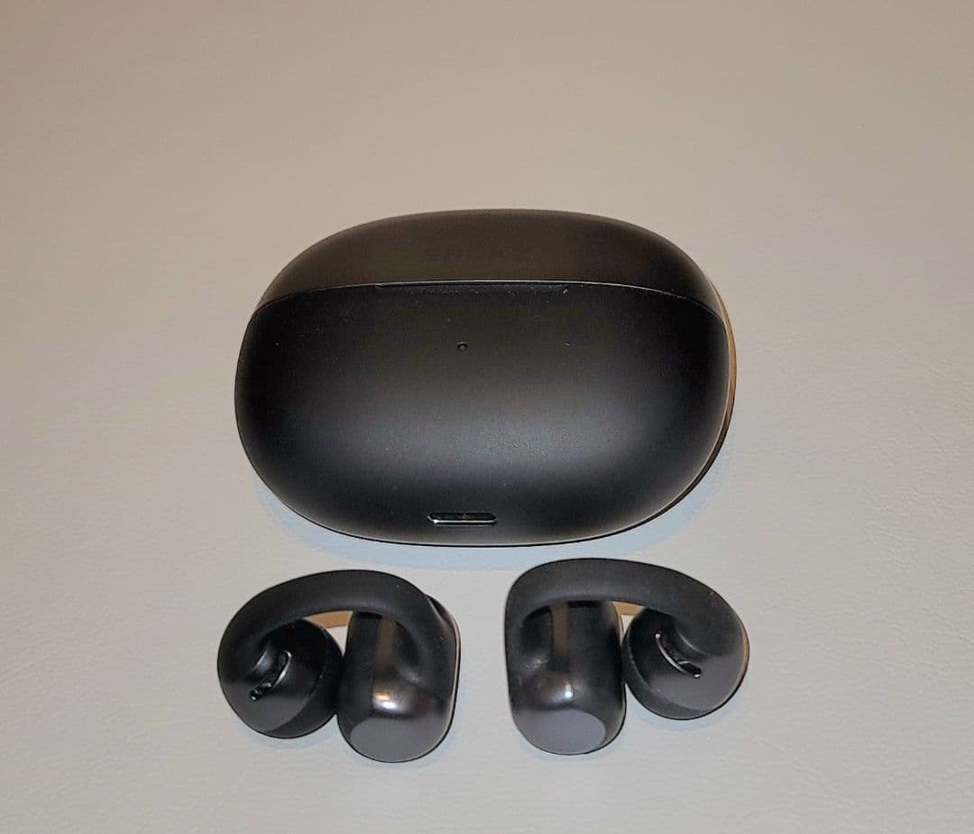 Shokz OpenDots ONE ショックス オープンドッツ ワン