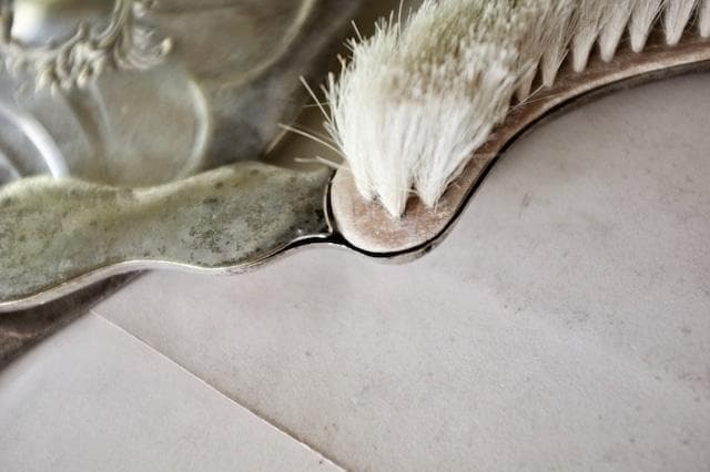 sold france 貝と薔薇とロカイユとロココ的ダストパン＆ブラシセット