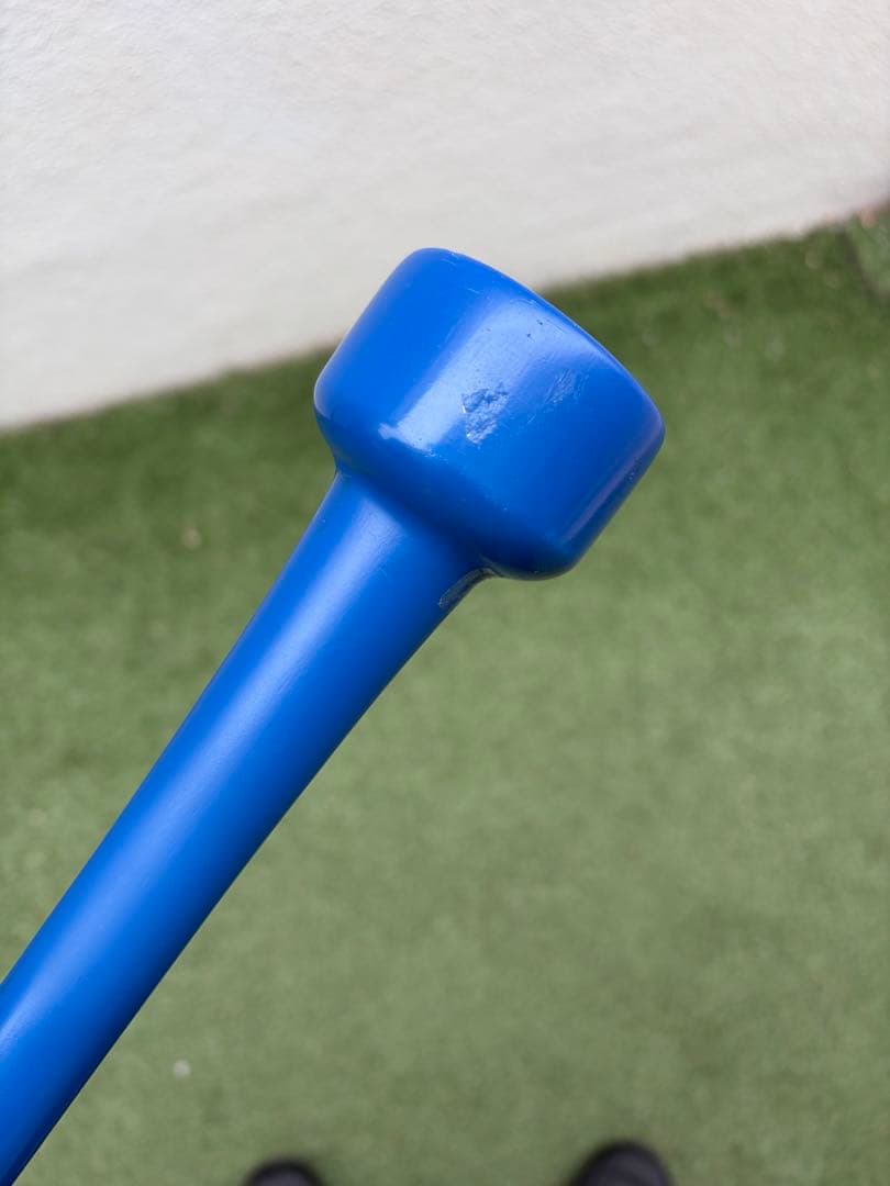 HEAD RUN BAT-X トレーニングバット 青