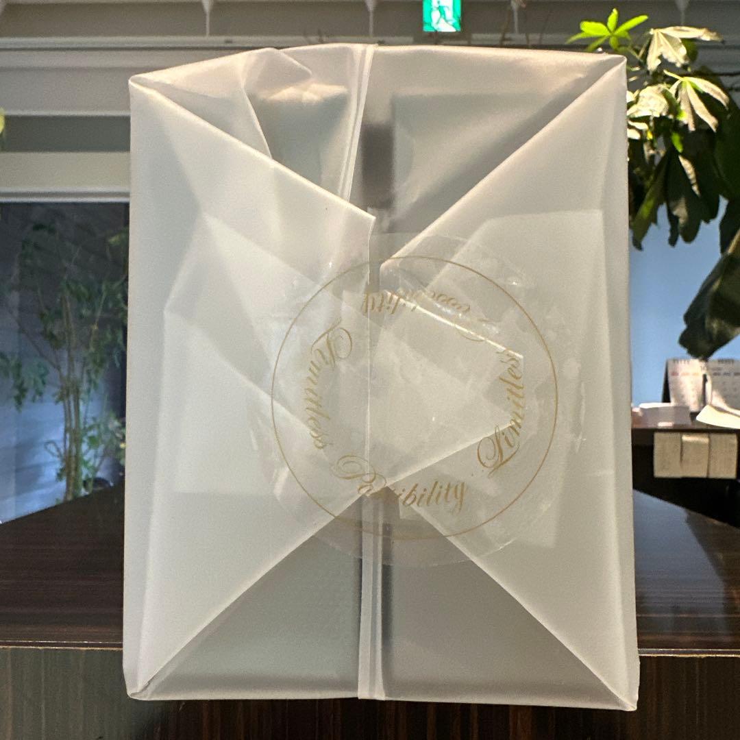 HAIRBEAURON 107D Plus カールアイロン