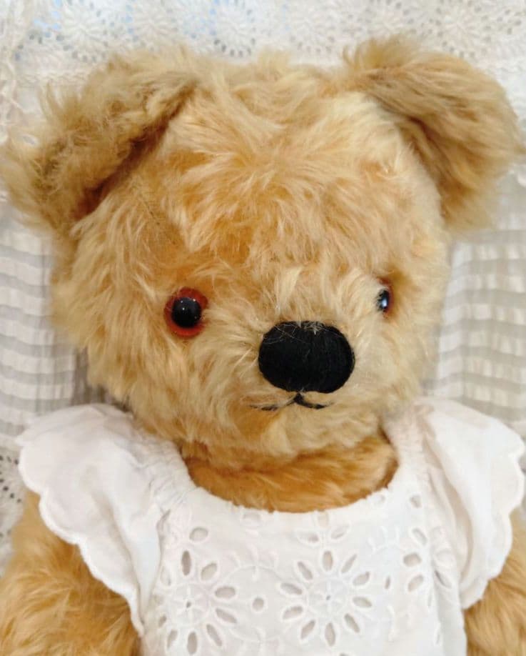 チャドバレーベア 47cm