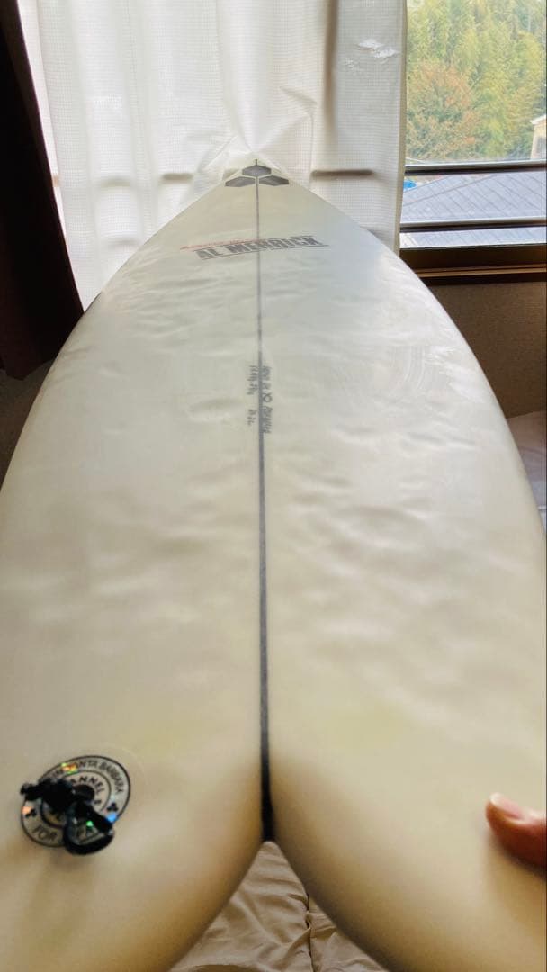 AL MERRICK FISHBEARD ツイン 5'8