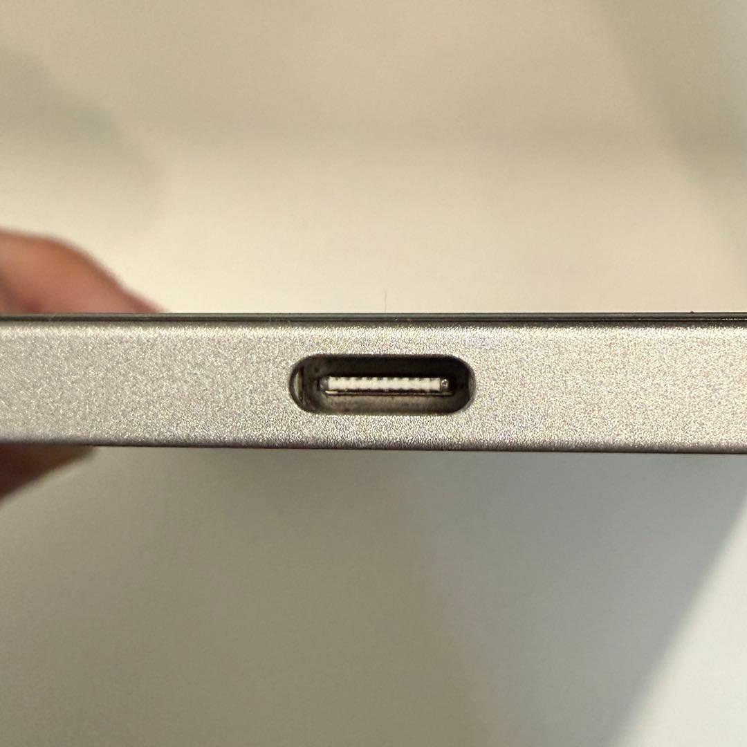 ほぼ未使用 Apple iPad PRO 本体 第3世代 シルバー