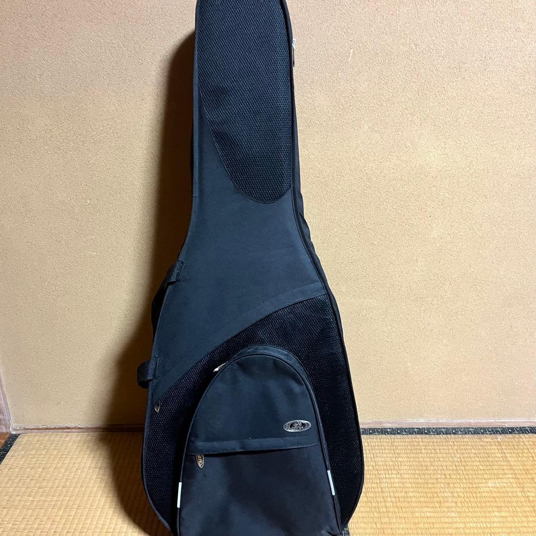 m*c様 James アコースティックギター JD350TS タバコサンバースト