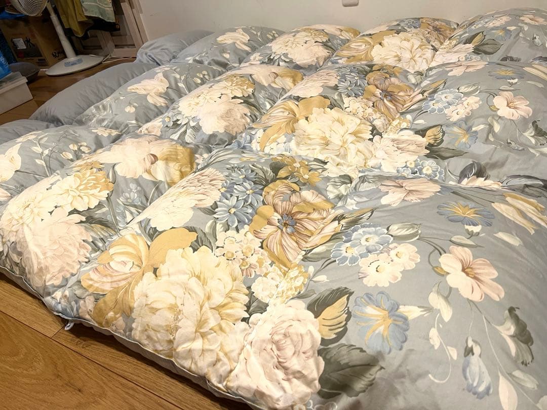 ロマンス小杉　ポーランドグースダウン95% セミダブル+大阪西川ダブルの2枚