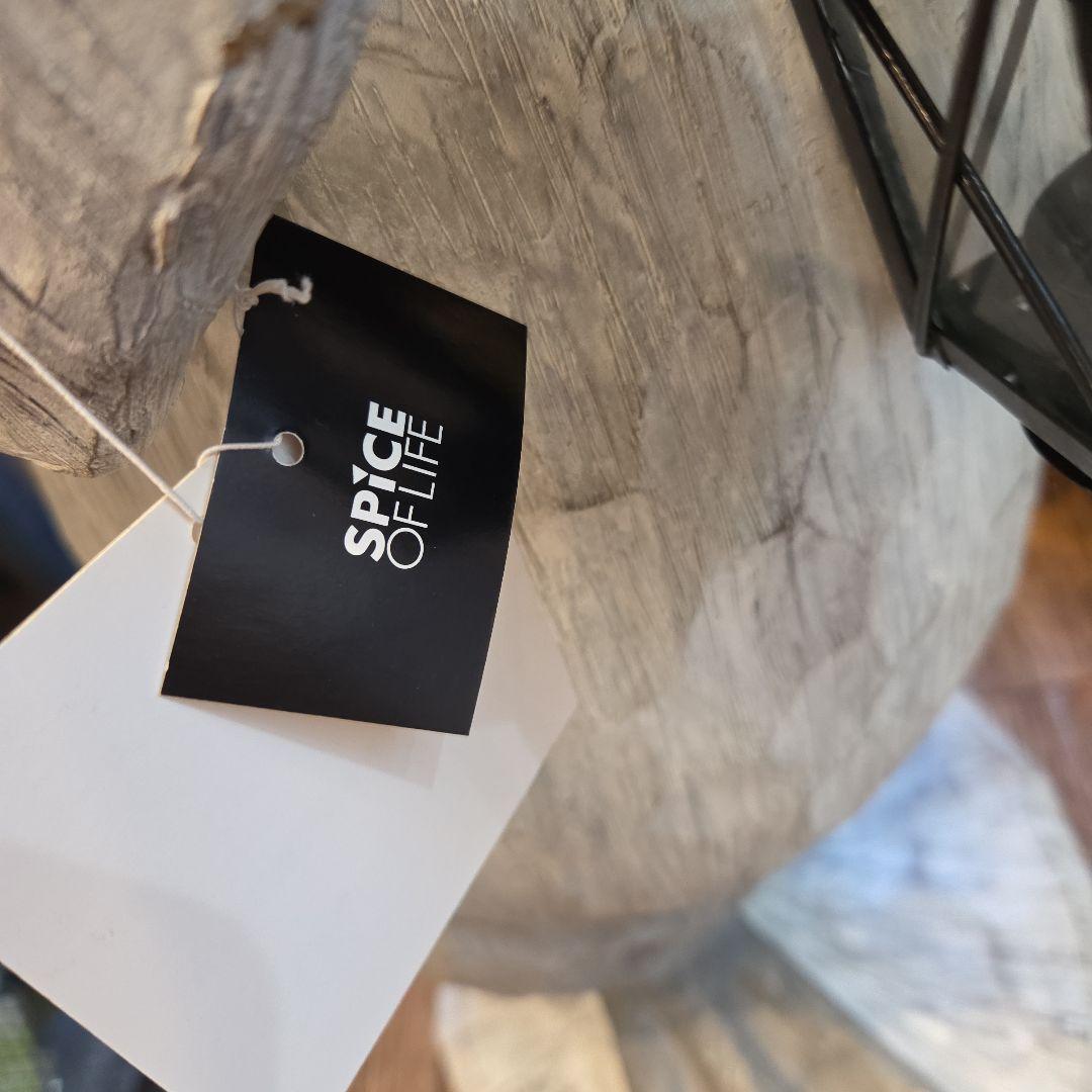 スパイス 　サンタペンギン