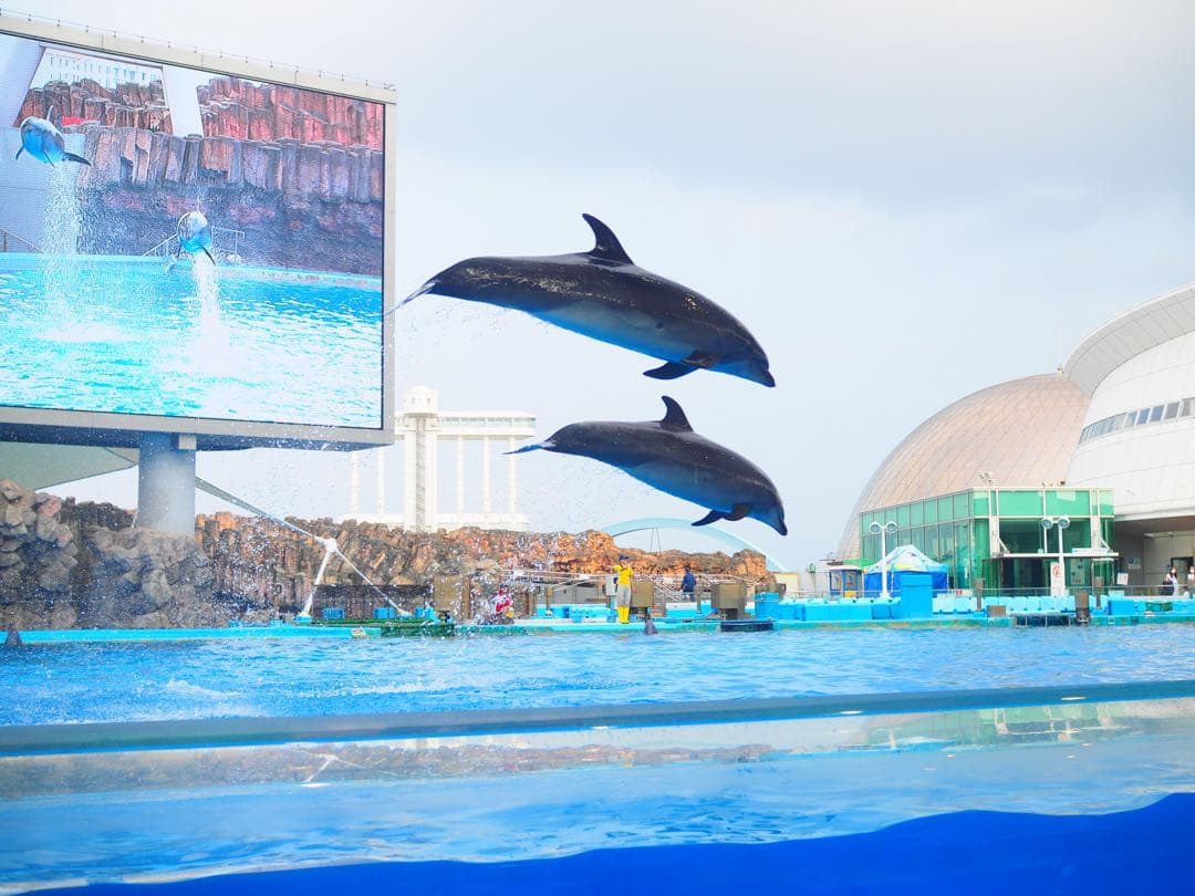 【要コメント】【撮影した写真有】OLYMPUS PEN-F ミラーレス一眼カメラ