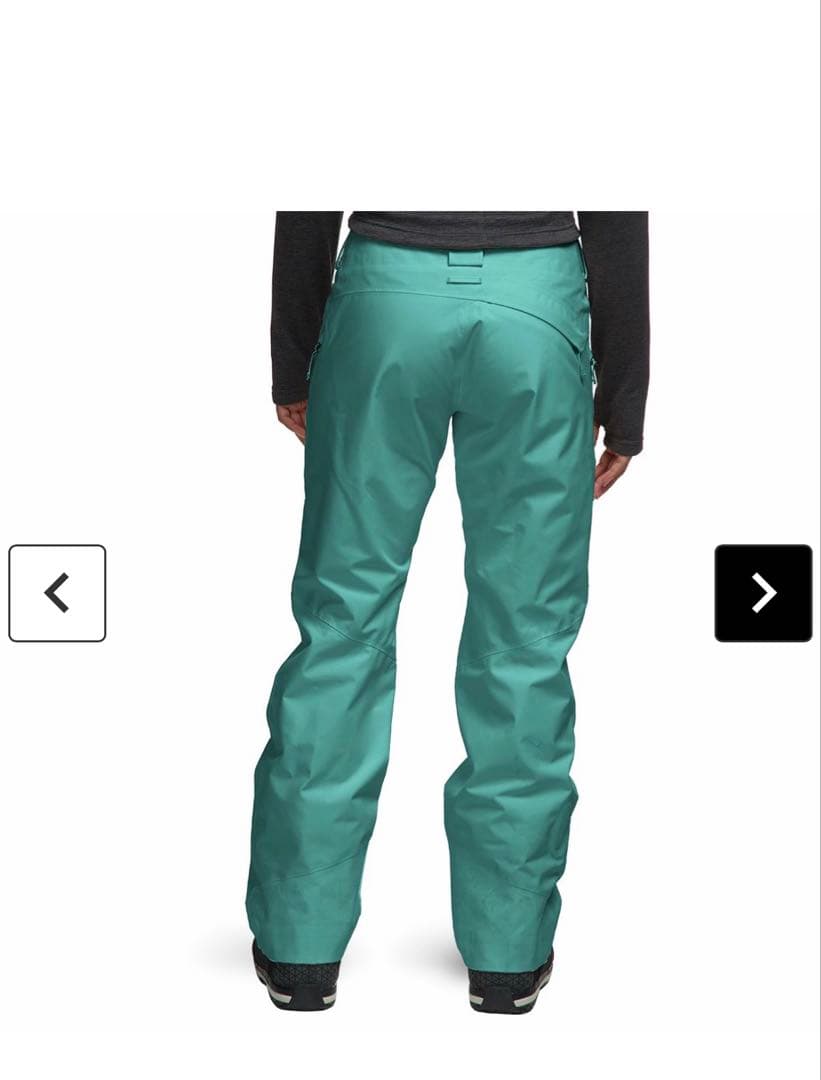 patagonia Powder Bowl Pants XS クリーニング済