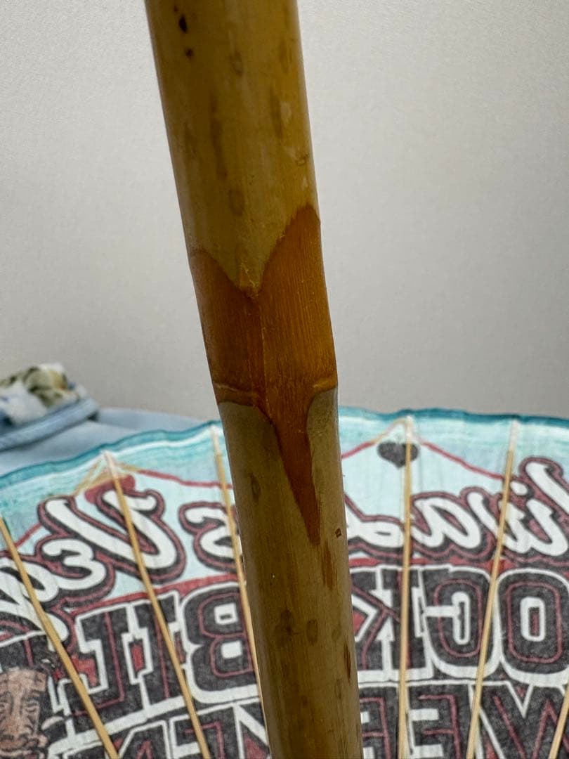 【超希少】ビバラスWeekend 20th Anniversary 日傘 竹