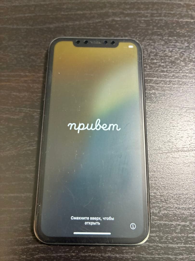 iPhone11 本体(カバー)