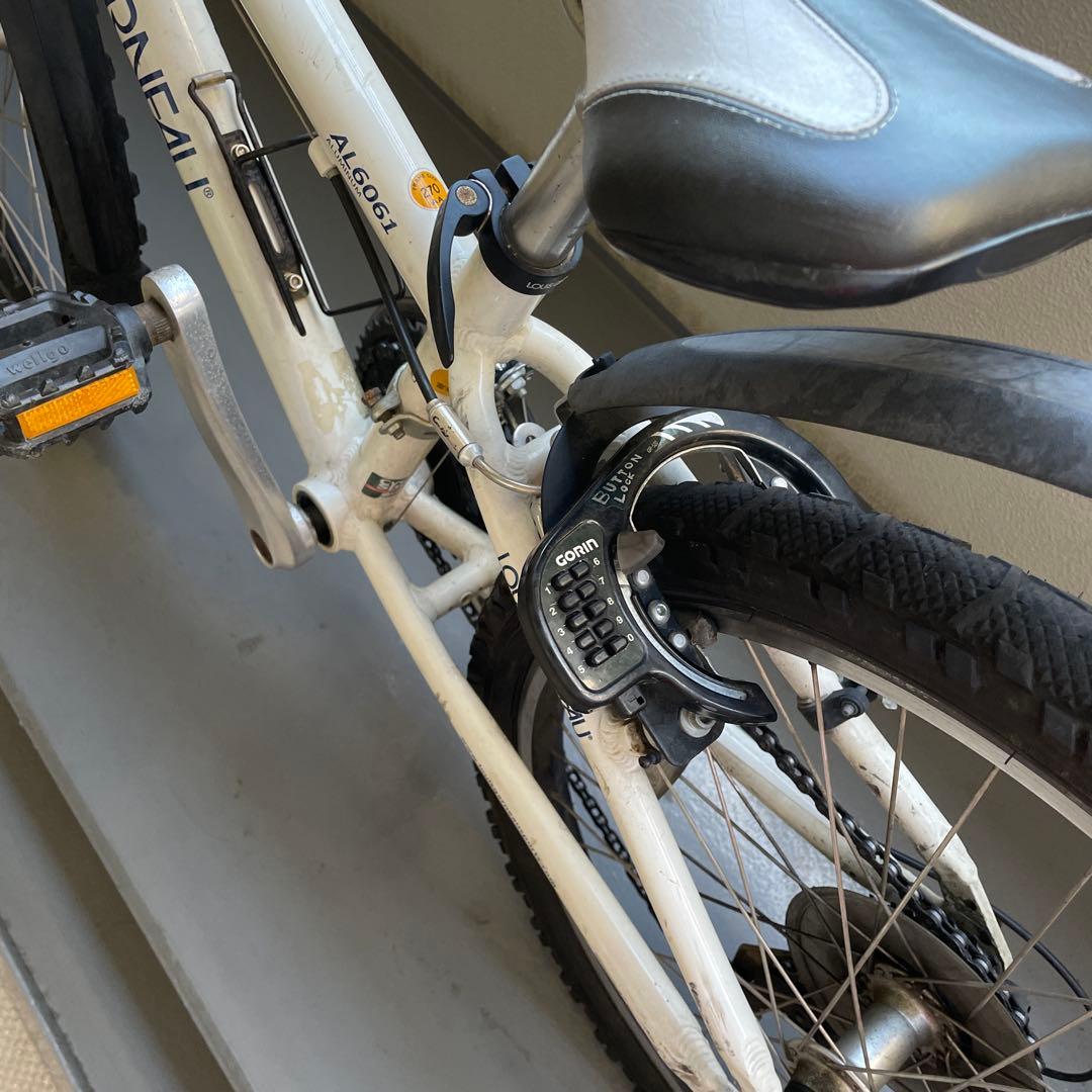 ルイガノ J22 LOUIS GARNEAU ジュニア22インチ