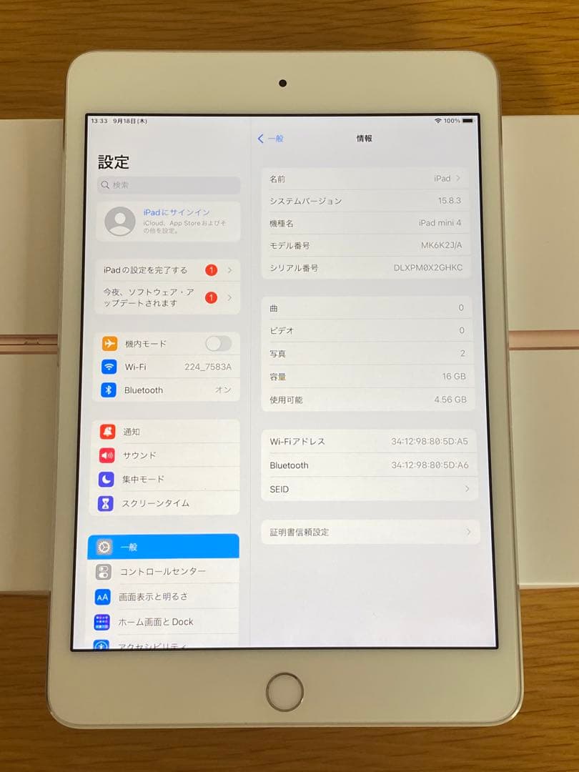 美品 iPad mini 第4世代 90%バッテリー容量　iPad本体