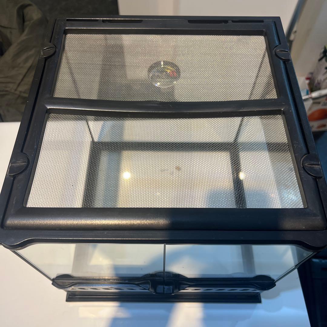 引き取り限定❗️エキゾテラ　グラステラリウム 爬虫類ケージ　まとめ売り