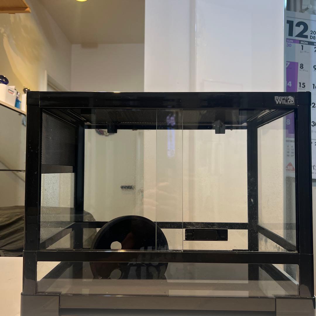 引き取り限定❗️エキゾテラ　グラステラリウム 爬虫類ケージ　まとめ売り