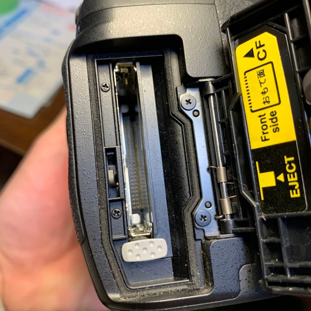 Nikon D200 デジタル一眼レフカメラ　ショット数2500枚弱