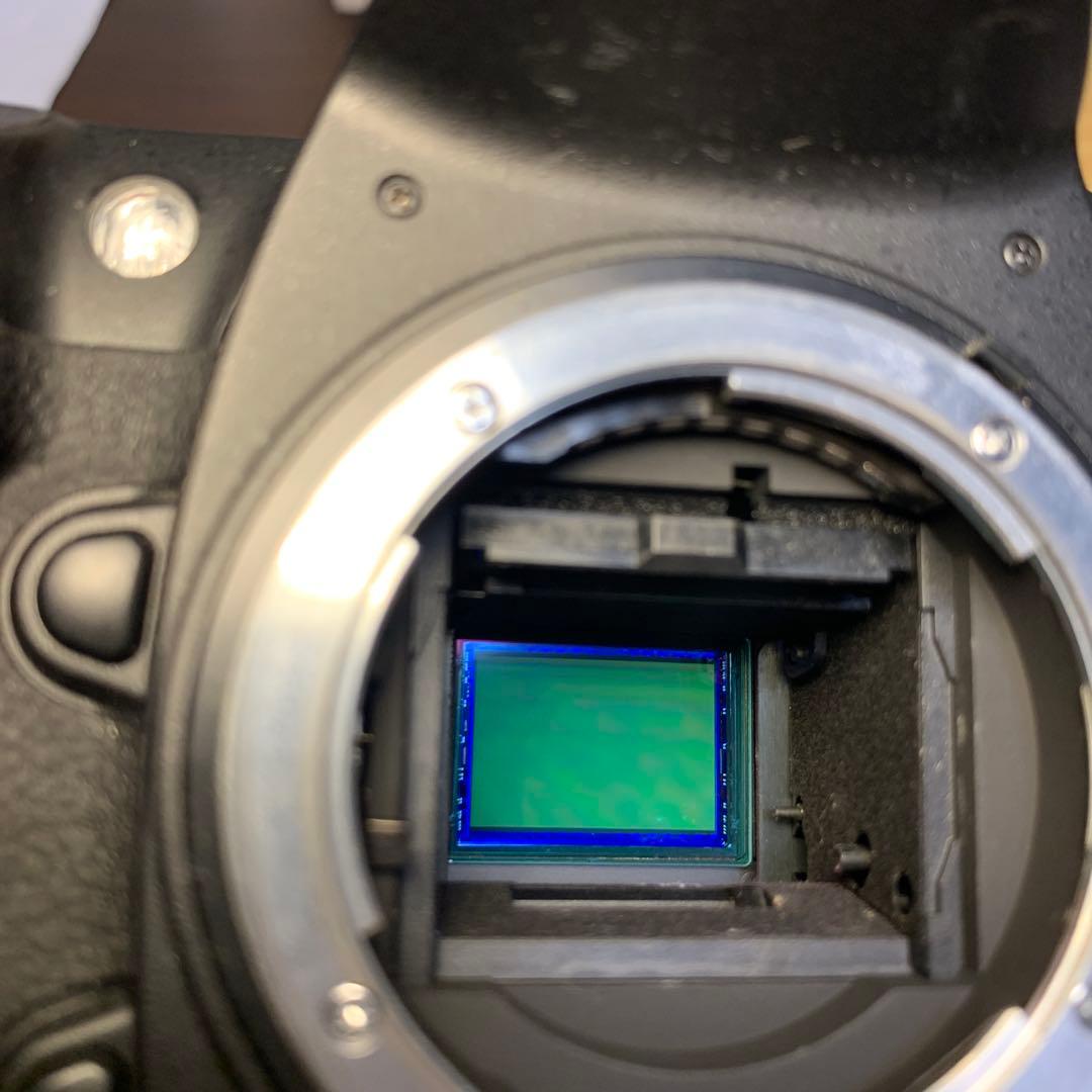 Nikon D200 デジタル一眼レフカメラ　ショット数2500枚弱