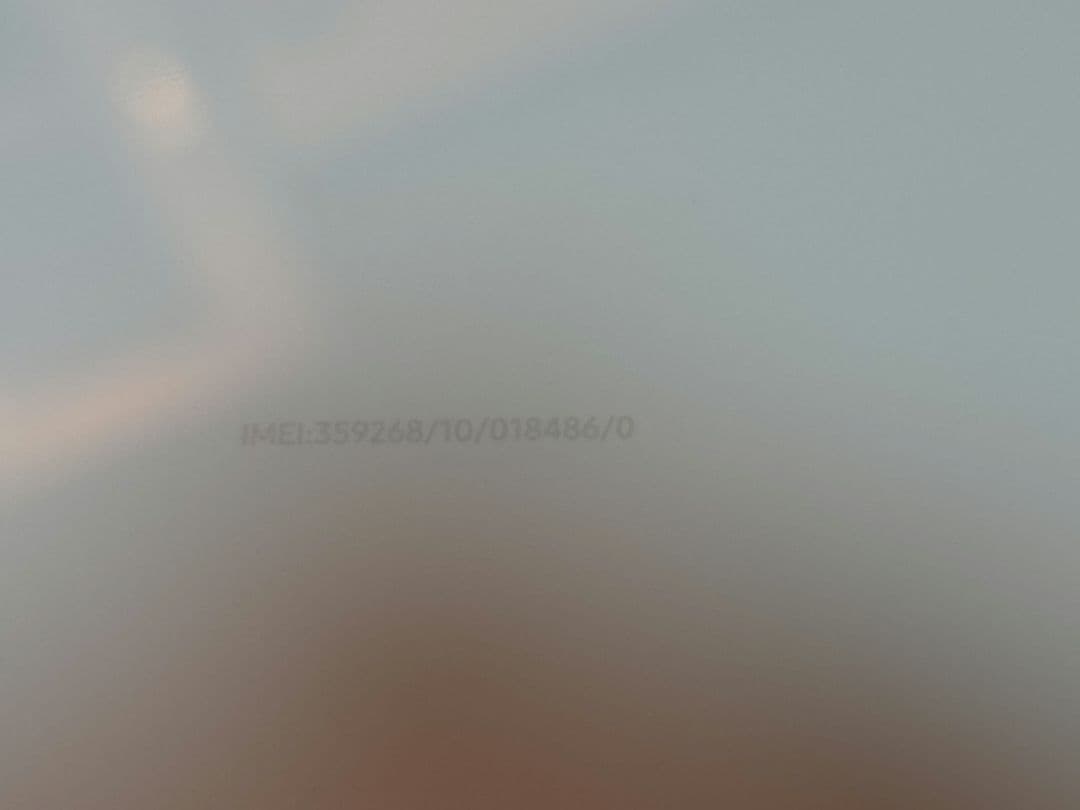 Galaxy S10 楽天モバイル版 純正ワイヤレス充電器つき