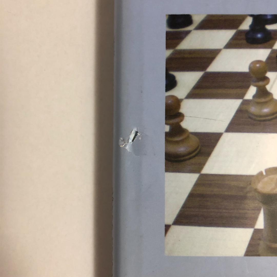 チェス本14冊セット