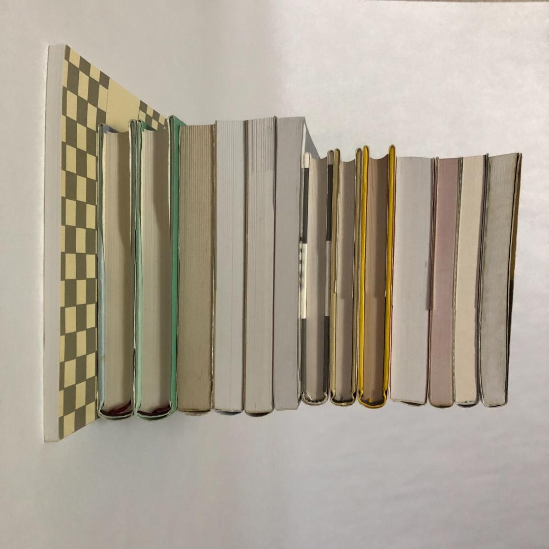 チェス本14冊セット