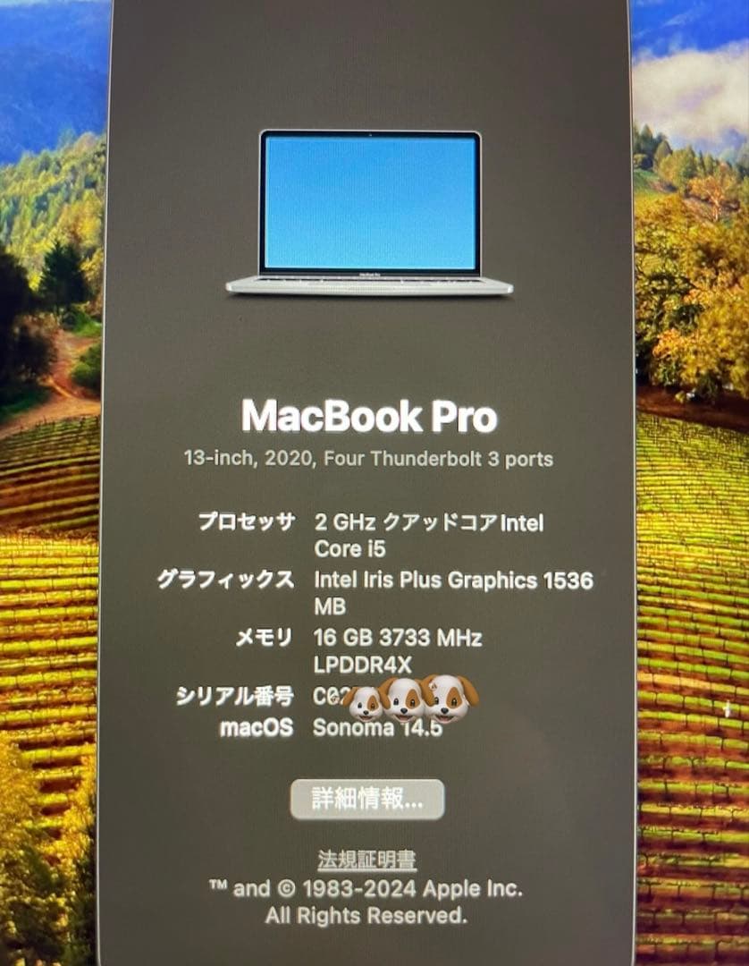 MacBook本体 MacBook Pro 2020 / 16GB/512GB