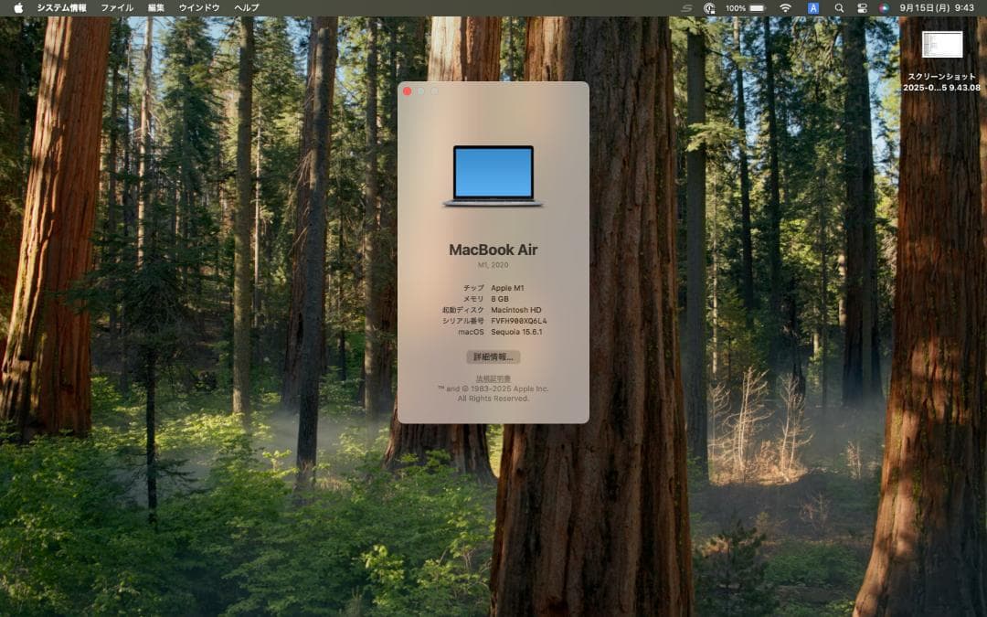 MacBook Air M1 2020年モデル 【軽度不具合あり・画面ちらつき】