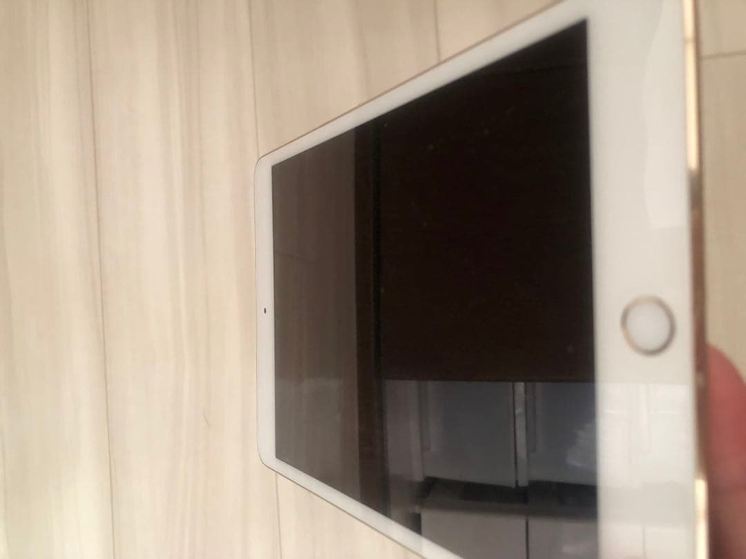 iPad本体 iPad mini A1538