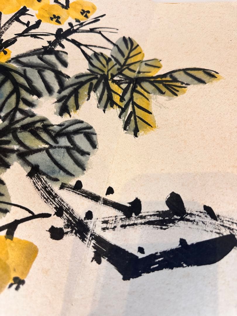 呉昌碩　花卉冊　中国書画　古董