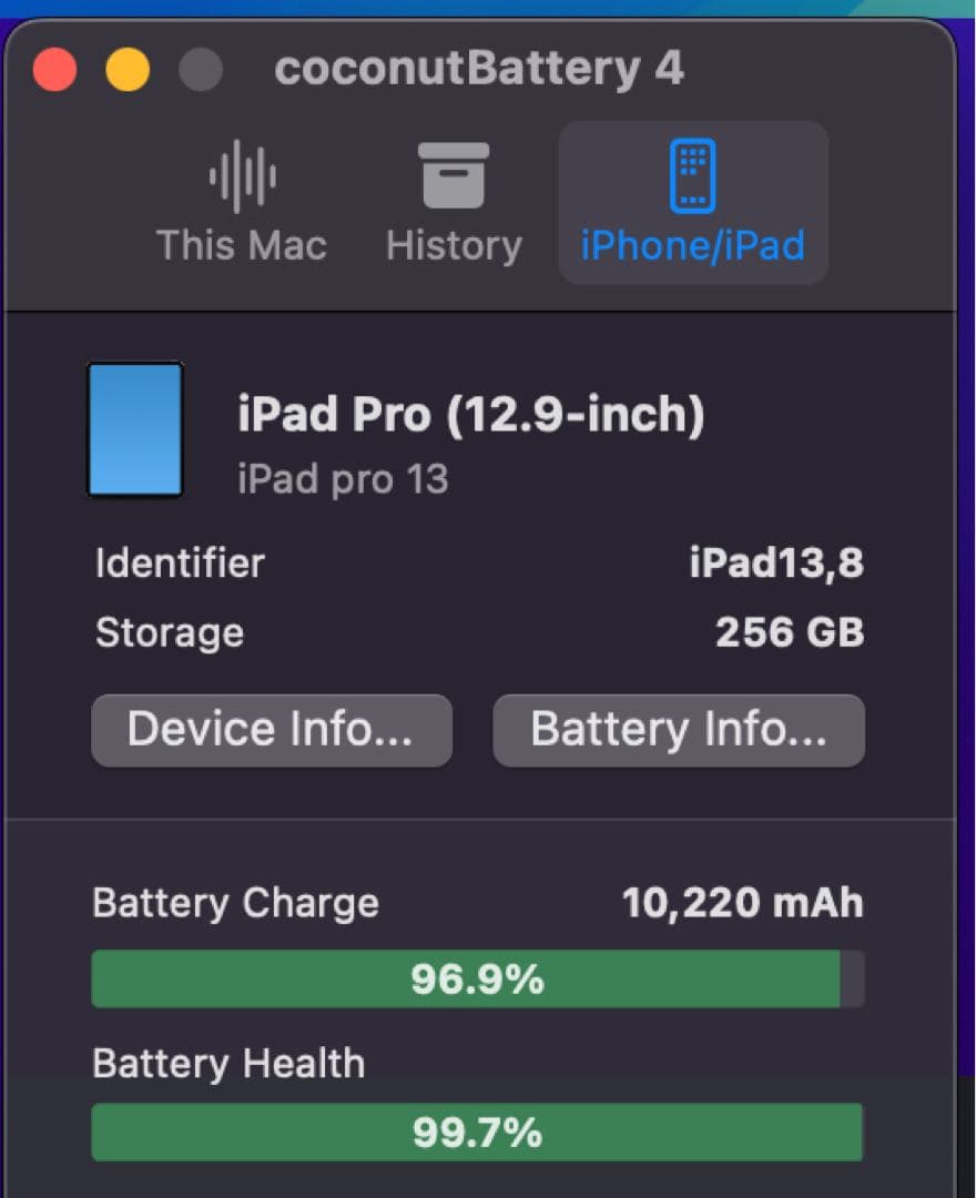 極美品 iPad Pro 12.9インチ M1 256GB アップルペンシル付き