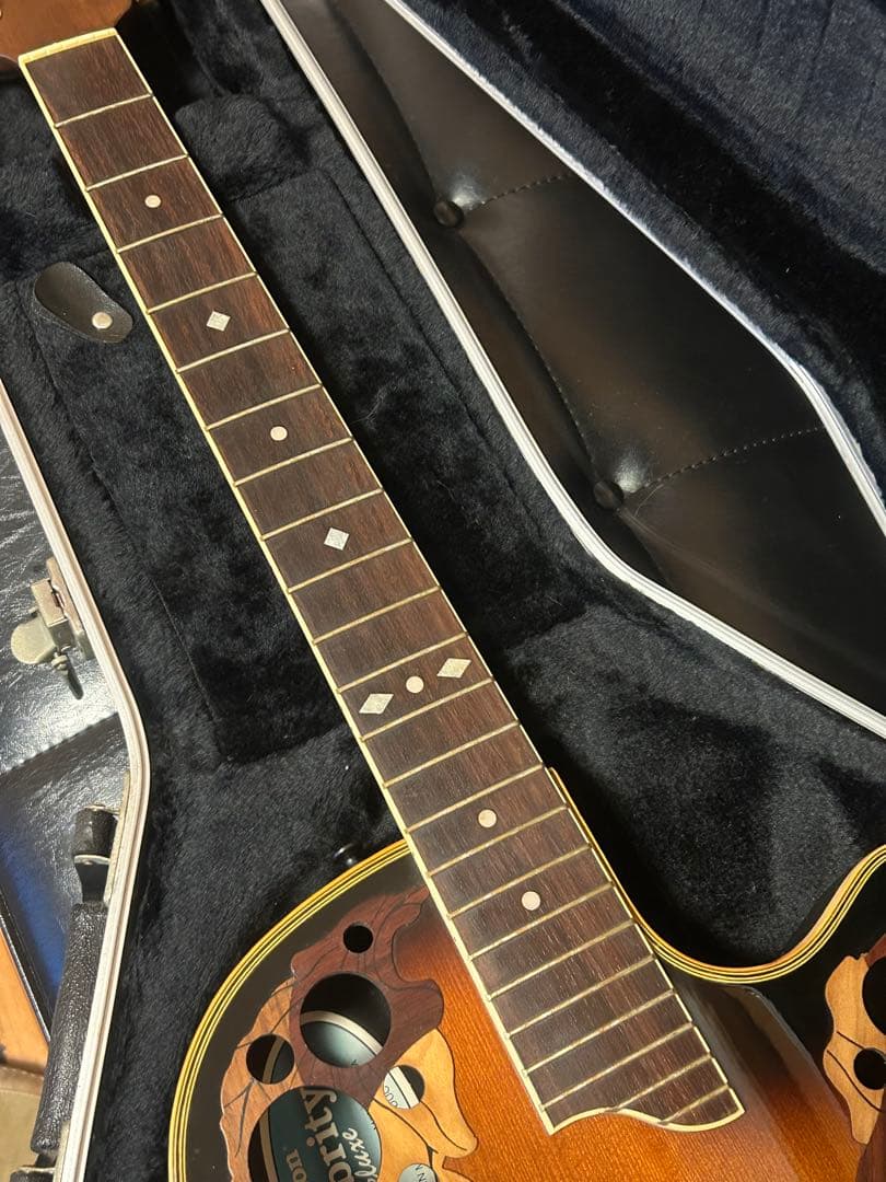 Ovation Celebrity Deluxe CS257 オベーション