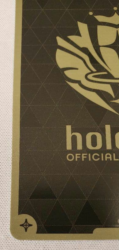 ホロカ　戌神ころね　OUR