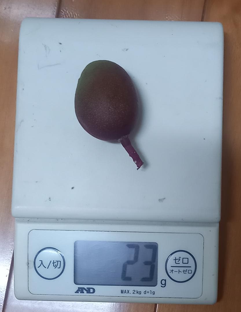 マンゴー+摘果 / 21 kg including box