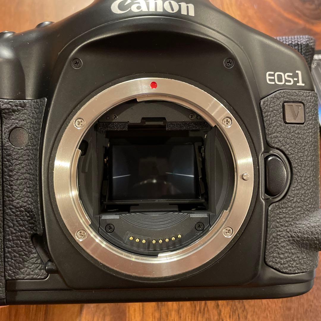 Canon キャノン　eos1v EOS-1v フィルムカメラ