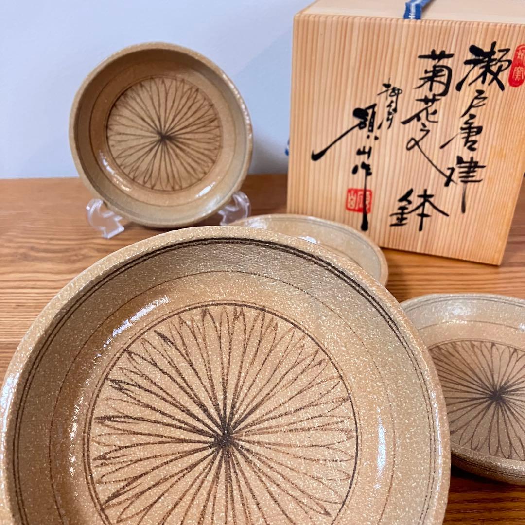 瀬戸唐津　菊花文　鉢　皿　5枚