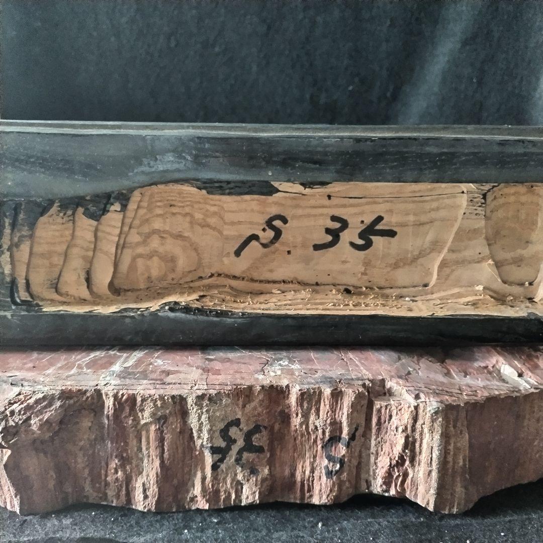 アリゾナ州産 珪化木 大迫力 32kg 木化石 木石 前落札者