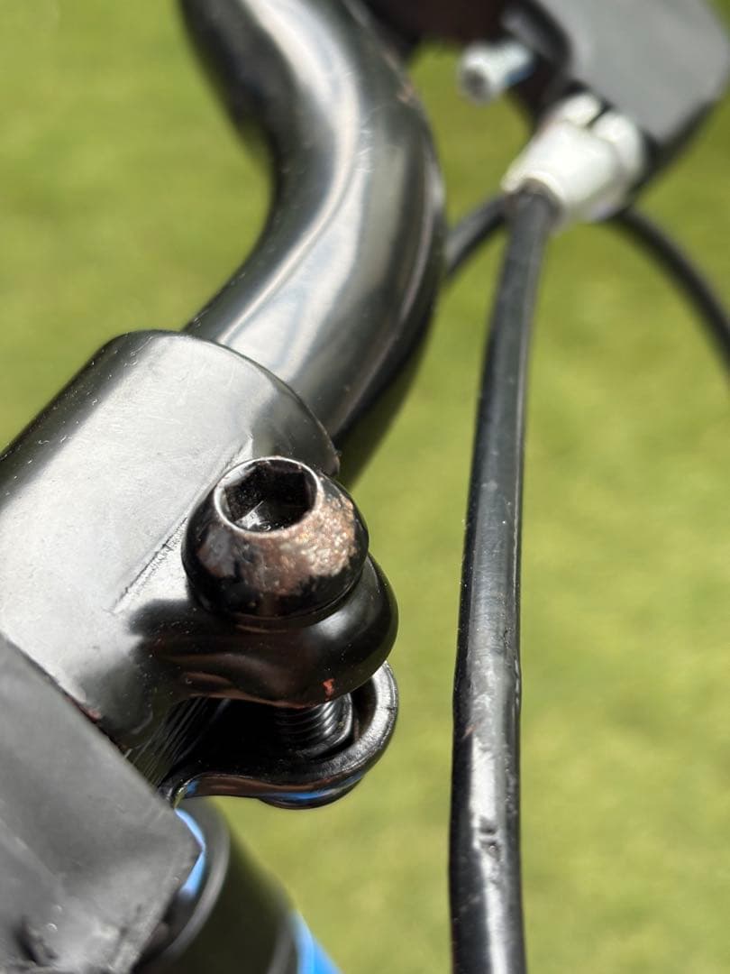 STRIDER 子供用自転車 14インチ 青