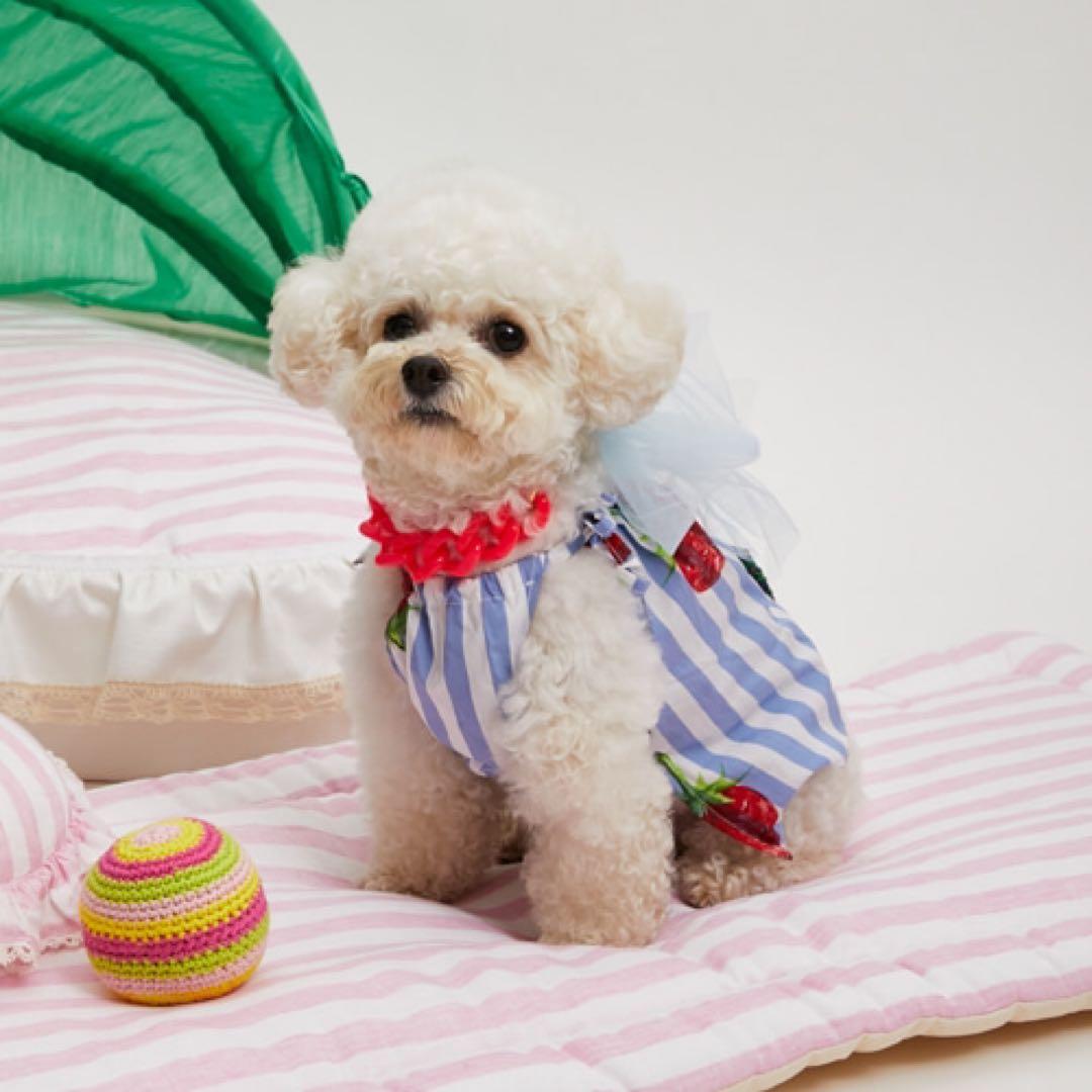 【新品未使用】ルイスドッグStrawberry Dress/SMサイズ