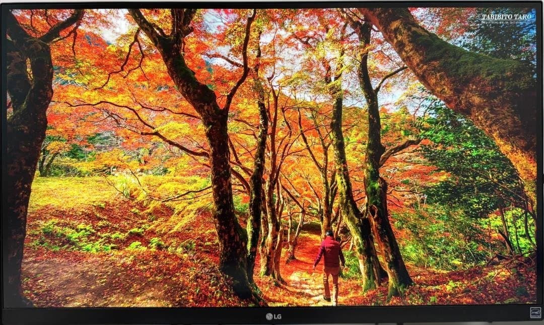 LG ディスプレイ 27UL650 4K DisplayHDR400