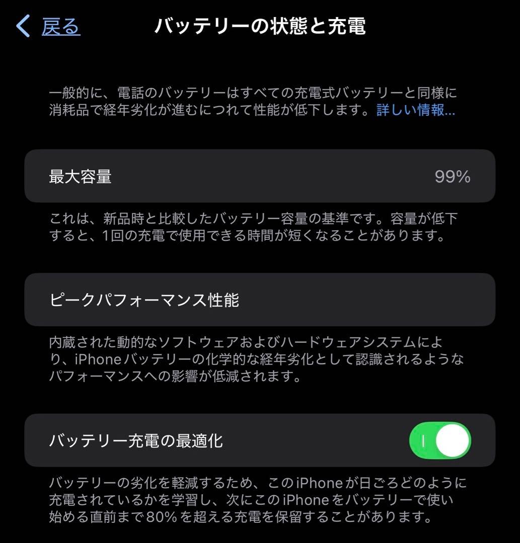 Apple iPhone 13 Pro Max グラファイト 128GB 99%