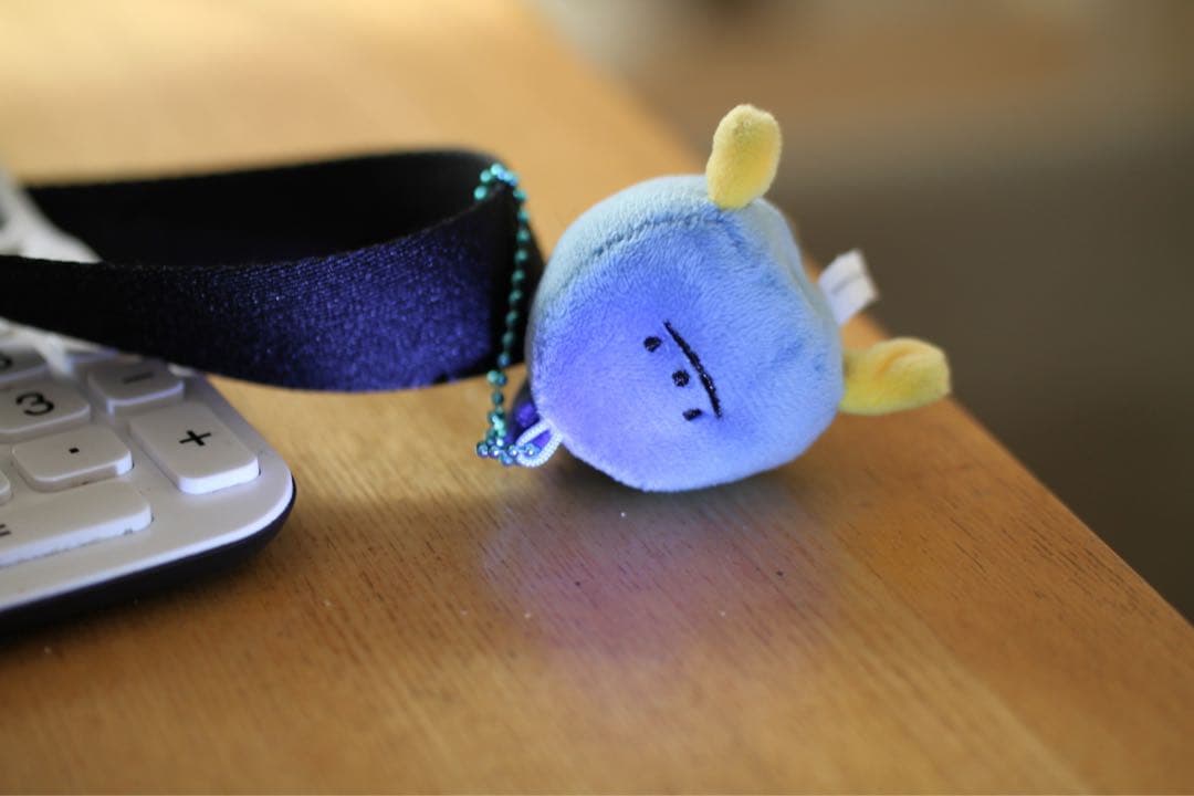 TAMRON SP 60mm F/2 MACRO 55 Di ll Canon用