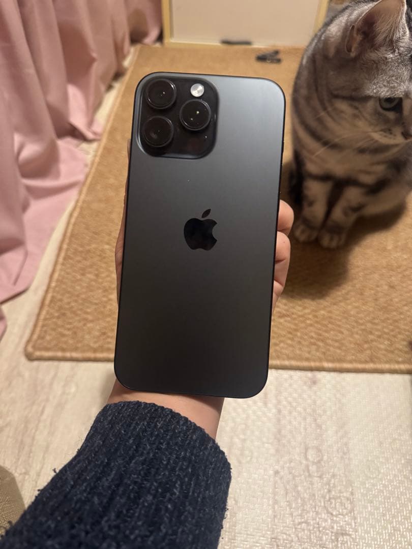 海外版iPhone 16 Pro Max 1TB,極美品, 充電回数は2回