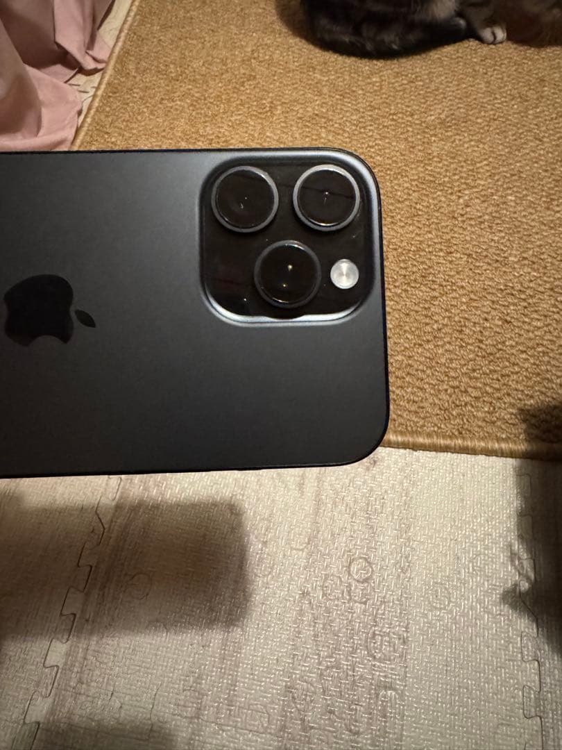 海外版iPhone 16 Pro Max 1TB,極美品, 充電回数は2回